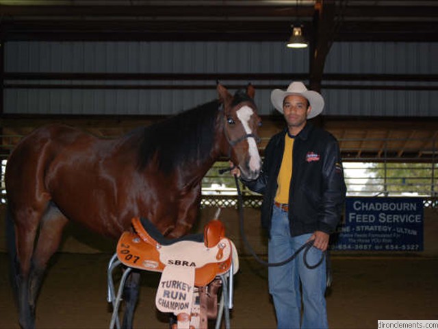 "Angel Racin Free" 2007 Turkey Circuit Saddle Champion